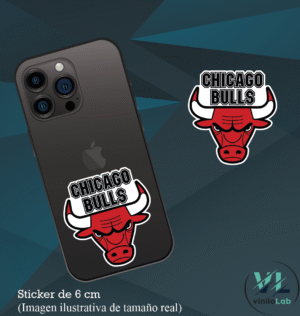 Chicago Bulls