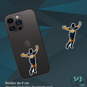 Riquelme Espaldas Festejo