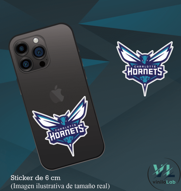 Charlotte Hornets